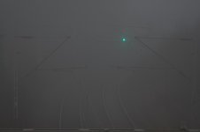500_4725-DeNoiseAI-raw.jpg