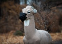 _DSC6667 low res.jpg