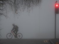 Bike.jpg