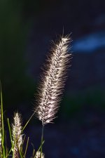 _ROY4099_01.jpg