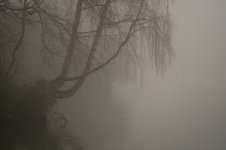 Fog4.jpg