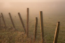 500_4748.jpg