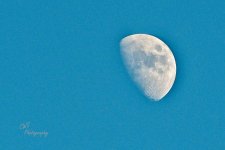 12-12-21-CR-_D502887-2021-12-12-162123_ -ON1.jpg