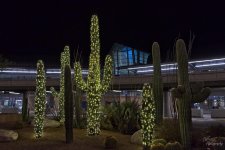 12-16-21-CR-_7506157-2021-12-16-054627_ -ON1.jpg