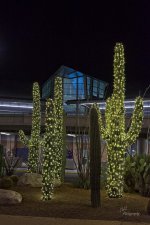 12-16-21-CR-_7506158-2021-12-16-054650_ -ON1.jpg