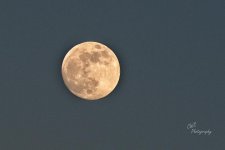 12-17-21-CR-_D502925-2021-12-17-171348_ -ON1.jpg