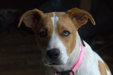 newdawg N LR_5006280.jpg newdawg N LR_5006280.jpg