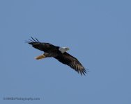 DSC_0890.jpg