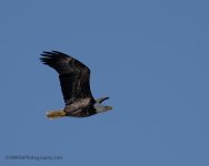 DSC_0891.jpg