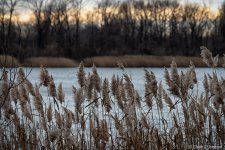 _DSC6677 low res.jpg
