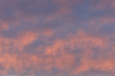 _DSC6680 low res.jpg