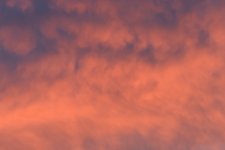 _DSC6689 low.jpg