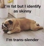 skinny.jpg