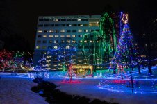 DSC_8513.jpg
