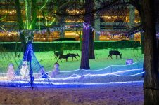 DSC_8508.jpg