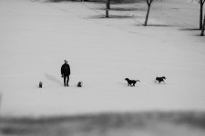 500_4919.jpg