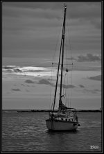 _71D6512_01.jpg