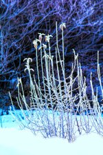 1-DSC_3814.jpg