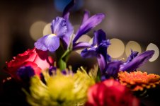 DSC_8720.jpg