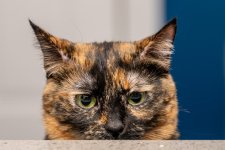 DSC_8686.jpg