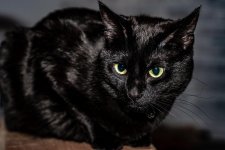 DSC_8703.jpg