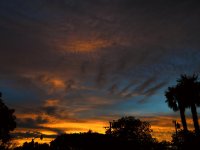 Sunset.jpg