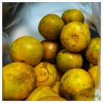 oranges-1.jpg