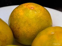 oranges.jpg