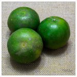 fruit-4.jpg
