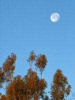MoonSet.jpg