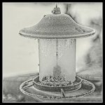 1-_7505451-Edit.jpg