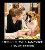 sandwich.jpg