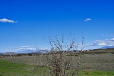 _ROY8247_01.jpg
