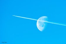 JetMoon-92.jpg