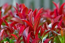 _ROY8979_01.jpg
