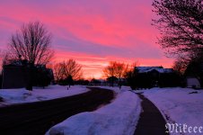DSC_0992.jpg