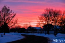 DSC_0994.jpg