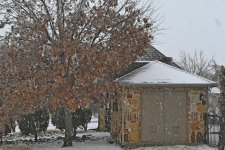 Z50_0019_LStSh_cr_sm.jpg