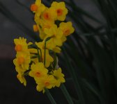 2022-01-27 17.21.28-gimp-s.jpg