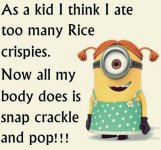 35-Very-Funny-Minion-Quotes-18-Minions-Funny.jpg