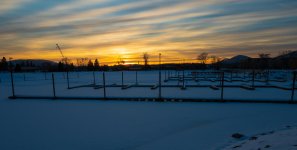DSC_9376.jpg