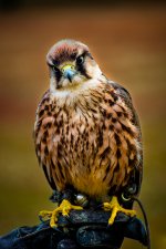 DSC_0207-2.jpg