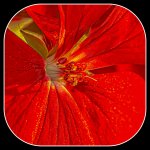 1-DSC_1800-Edit.jpg