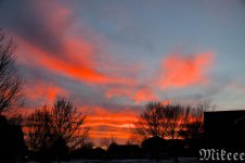 DSC_0995.jpg