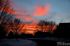 DSC_0996.jpg