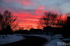 DSC_0999.jpg