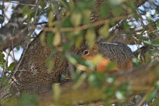 500_0247_LSh_sm.jpg