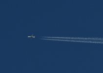 _ROY2240.jpg