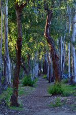 _ROY2448_01.jpg