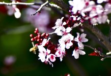 _ROY3146_01.jpg